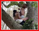 GRATUIT